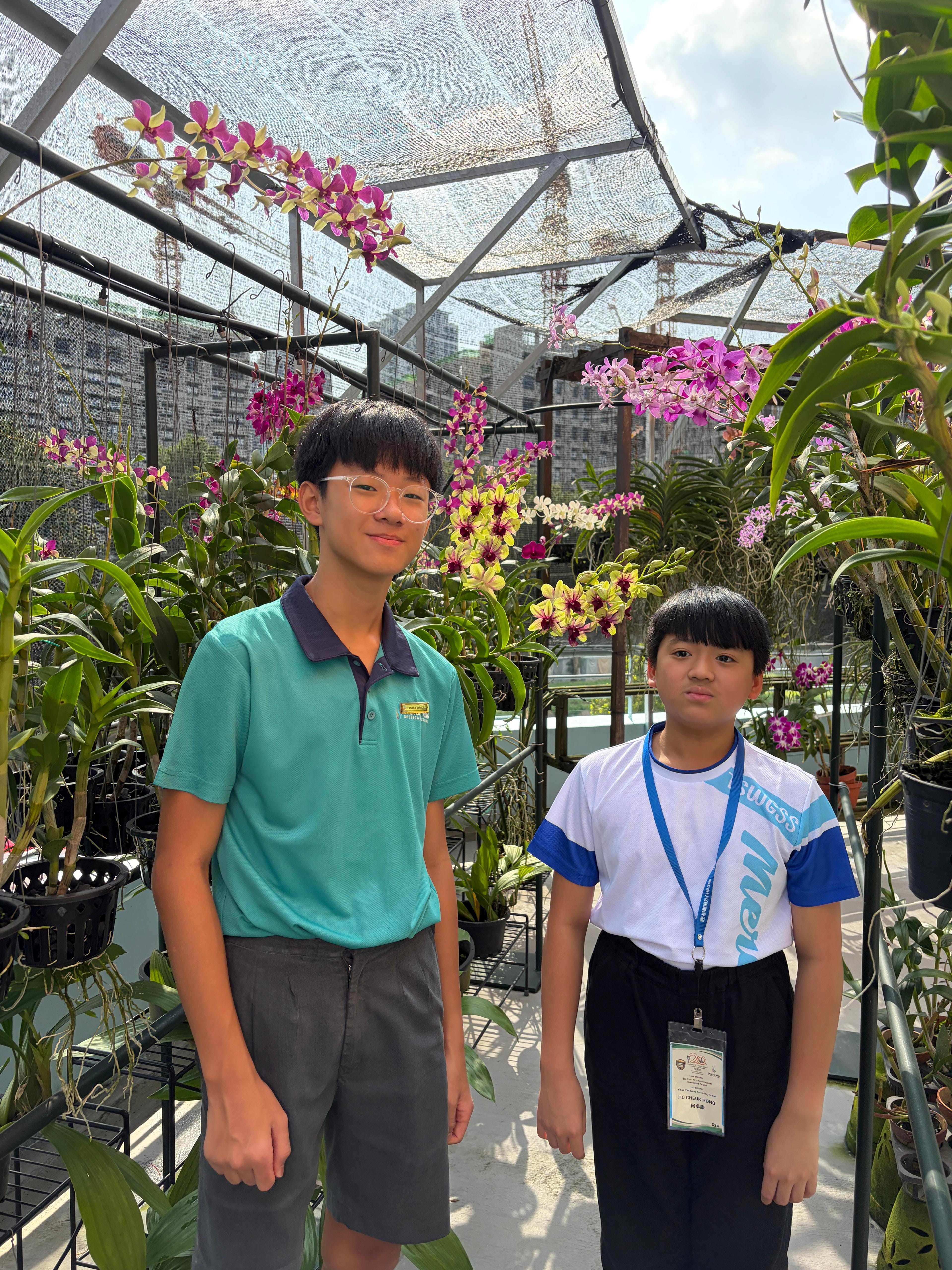 two boys standing amongst orchids